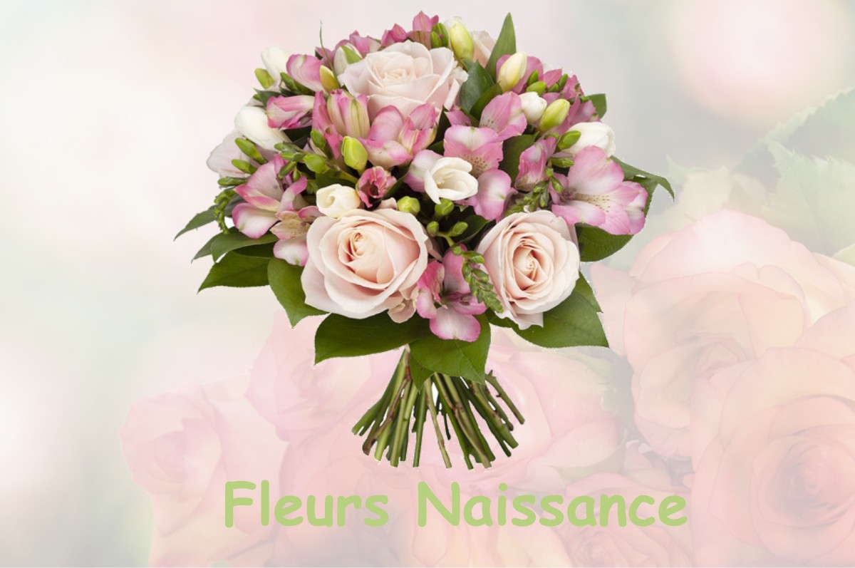 fleurs naissance LA-BAUSSAINE