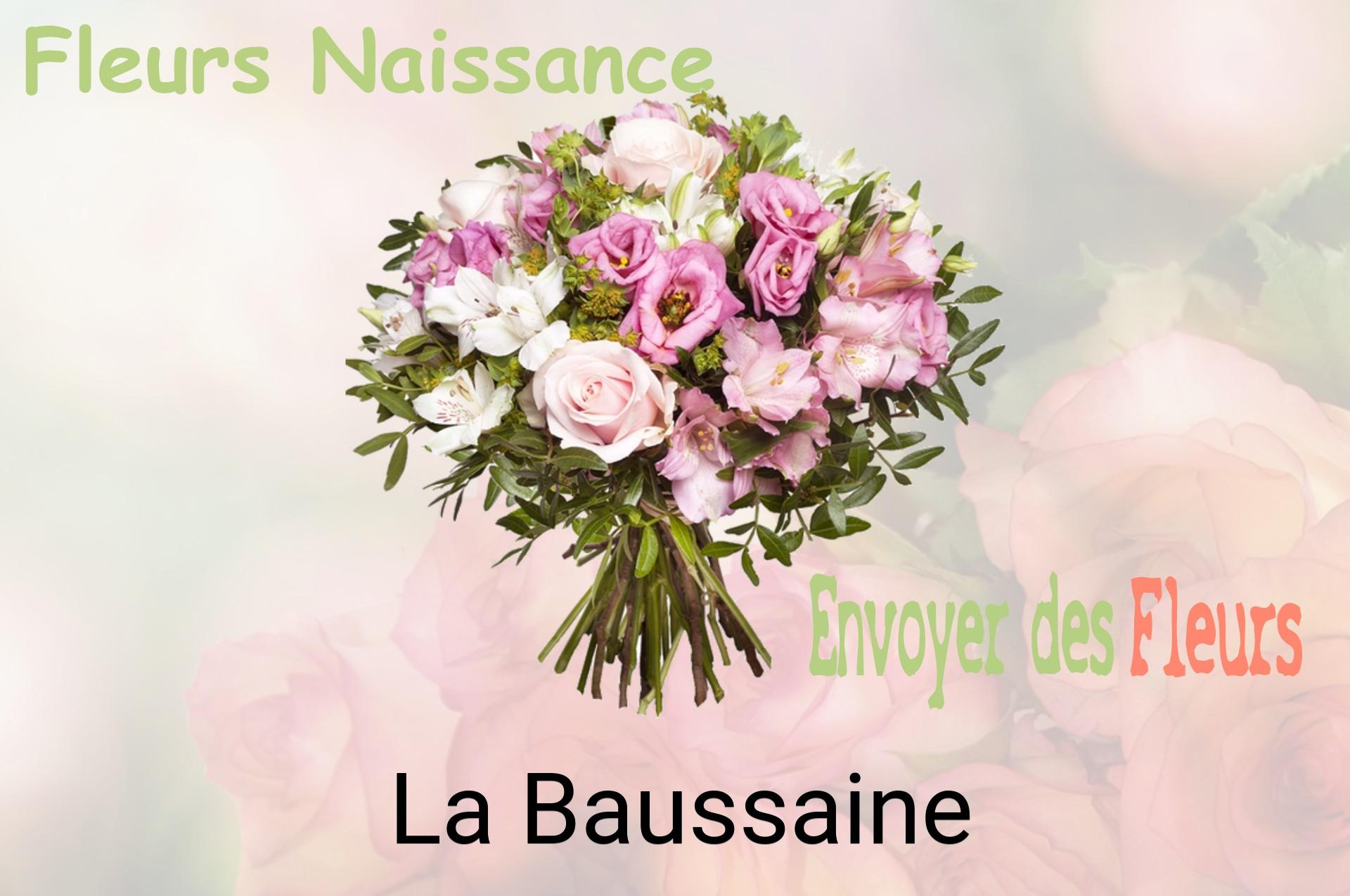 Bouquet de fleurs de naissance livré à La Baussaine
